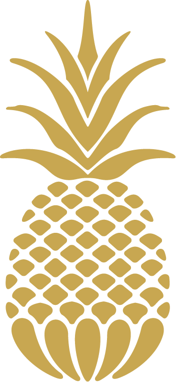 Pineappl Icon