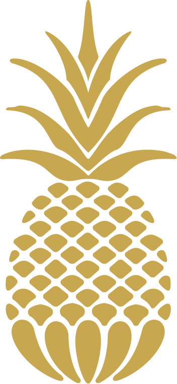 Pineapple Icon