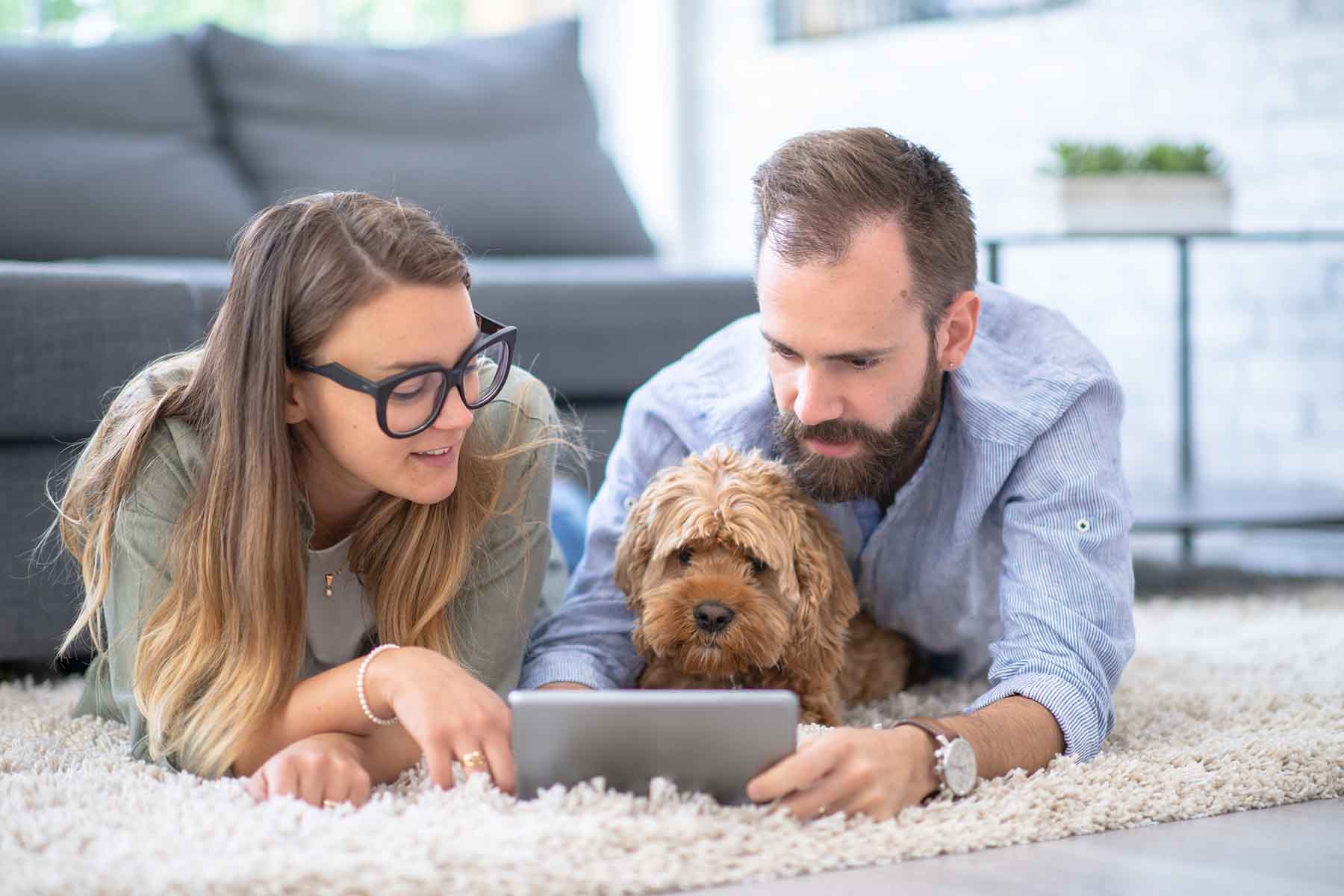 A young couple lays on the floor with their dog, looking over their finances on a tablet