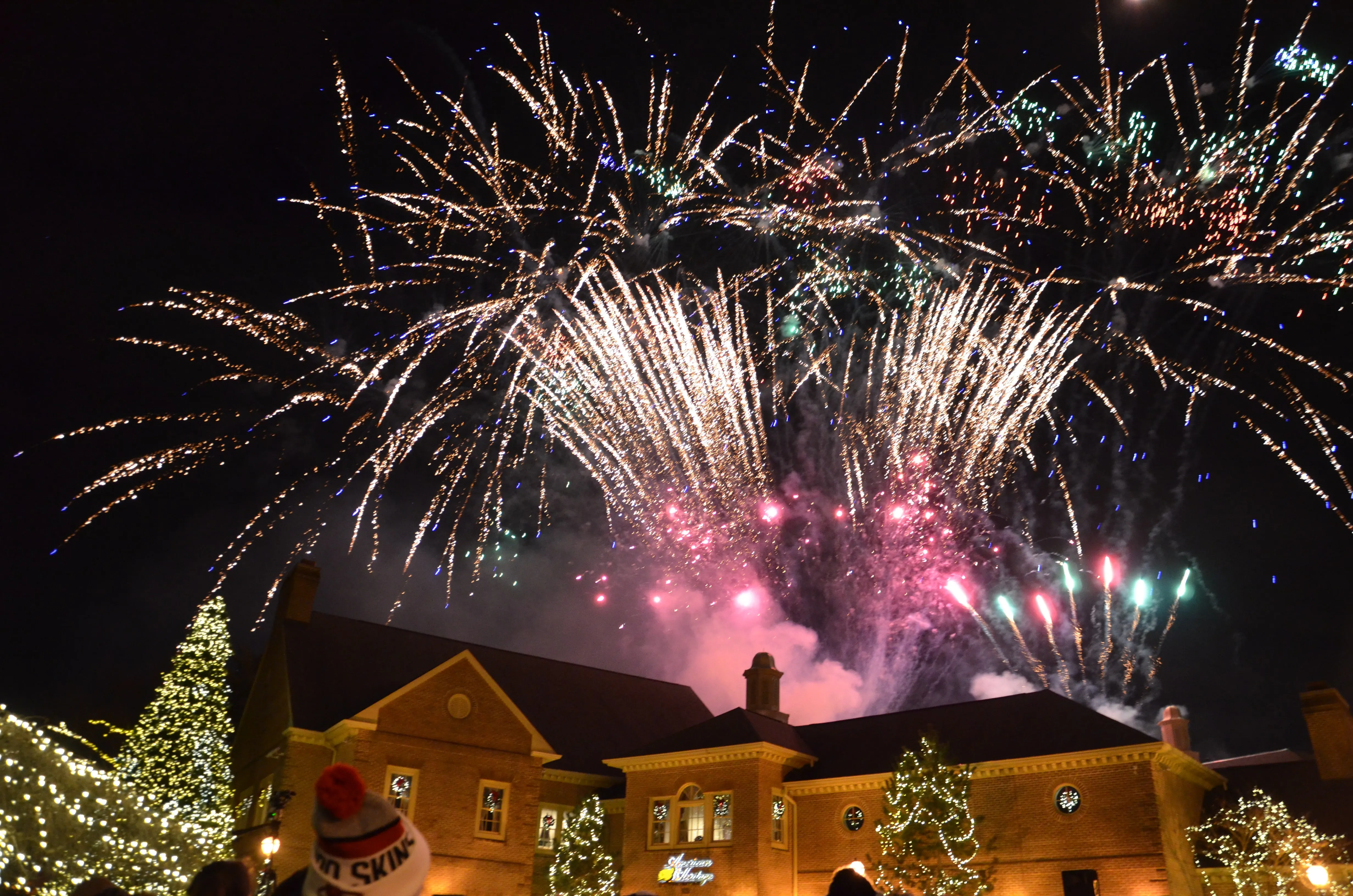 Illumination 2 Fireworks over Carriage House Branch